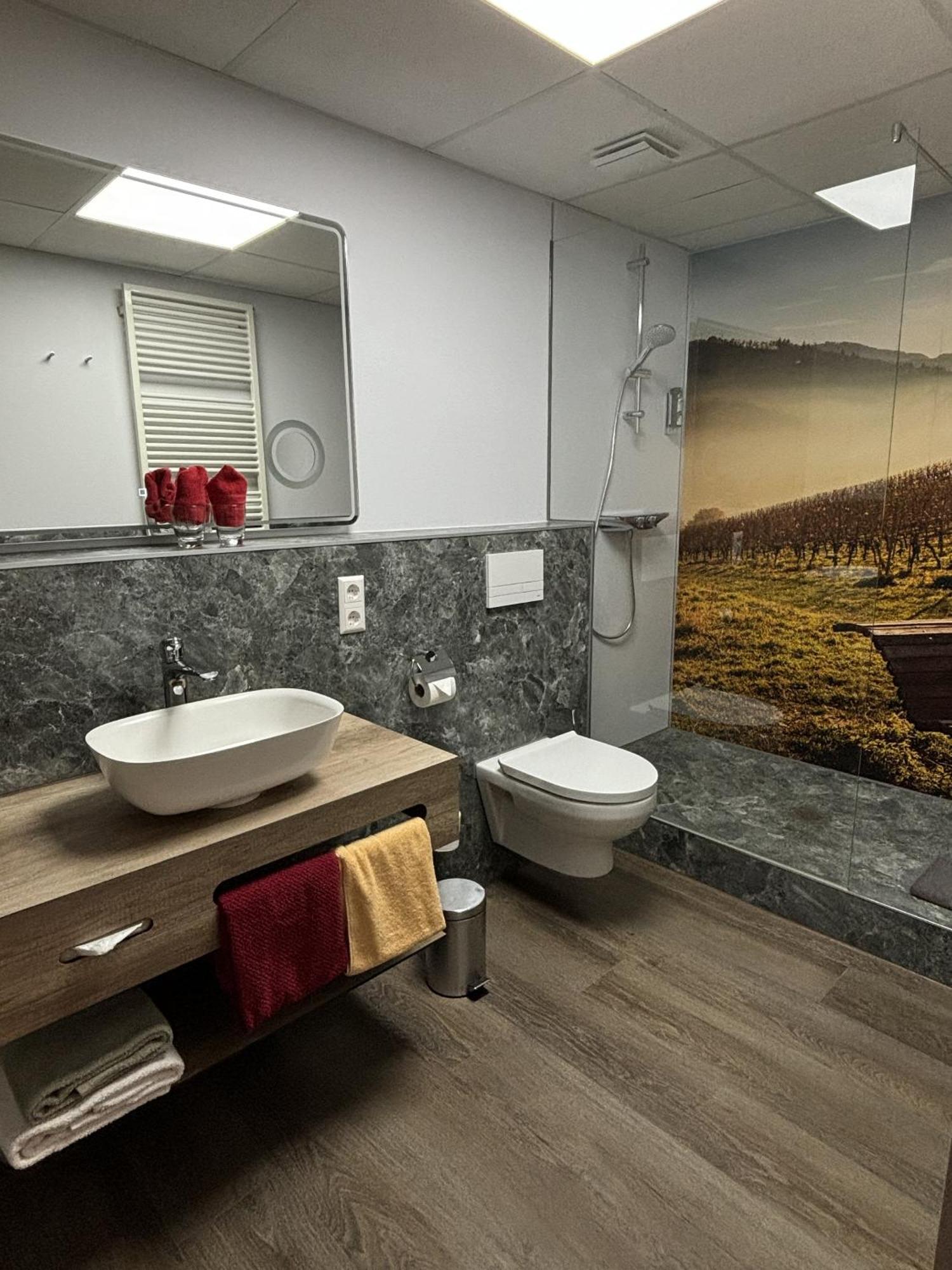 Landgasthaus Zur Linde, Neusatz Bühl Pokoj fotografie